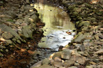 Small stream at Phoenix Garden