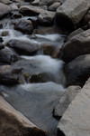 DSC_5101