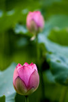 _DSC1573