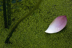 image0002