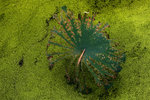 image0004