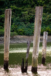 DSC_2979