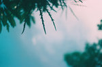R1-23_RE_S