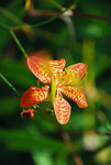 DSC_0400_S
