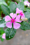 S_DSCF5737