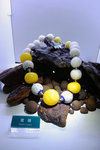 S_DSCF5748