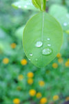 S_DSCF5761