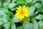 S_DSCF5762