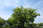 DSCF0010_low