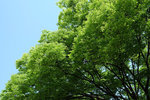 DSCF0012_low