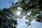 DSCF0015_low