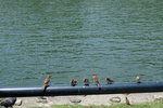 DSCF0019_low