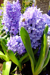 S_DSCF5583