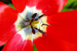 S_DSCF5619