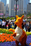 S_DSCF5654