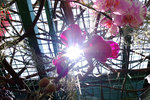 S_DSCF5678