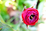 S_DSCF5689