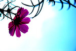 DSC_0418_re_s