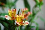 image0001