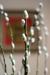 image0002