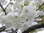 DSCN1755