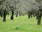 DSCN1764