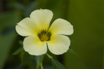 image0004