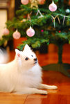 image0001