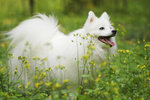 image0002