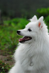 image0007