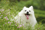 image0013