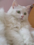 DSCN0649