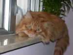 DSCN0832