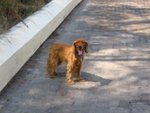 IMG_2062