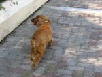 IMG_2064