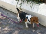 IMG_2065