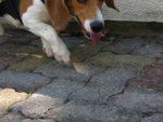 IMG_2066