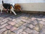 IMG_2067
