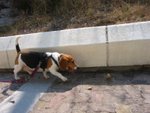 IMG_2068
