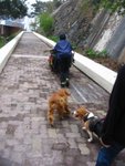 IMG_2054