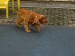 IMG_2072