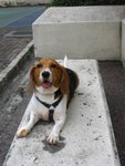 IMG_2092