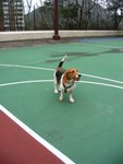 IMG_2115