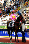 Horse(12)