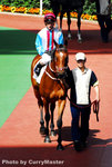 Horse(23)