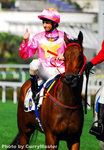 Horse(24)