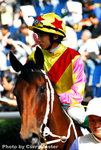 Horse(6)
