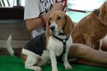929saikung129