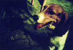 lomolca23Feb26