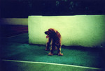 lomolca23Feb9